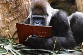 GorillaBook