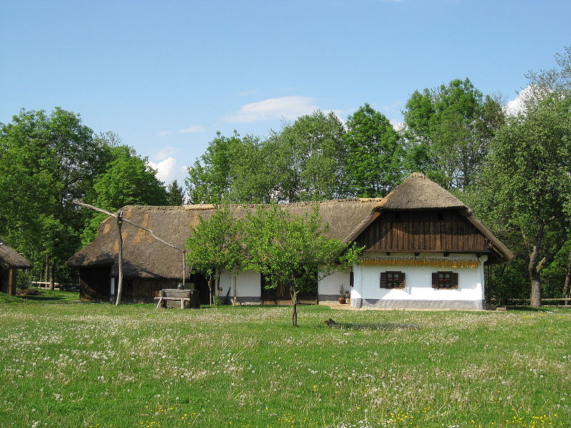 Slovenian house